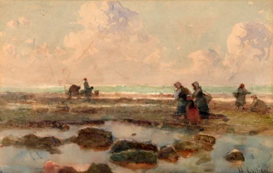 Garnalen vangen